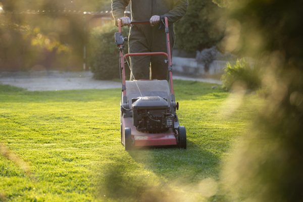 Mowing the grass with a lawn mower. Garden work concept background.